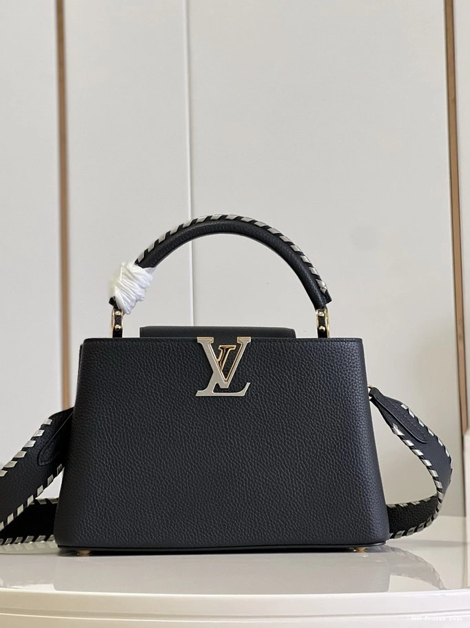 AAA Pruses Bags LOUIS VUITTON MM CAPUCINES 0814